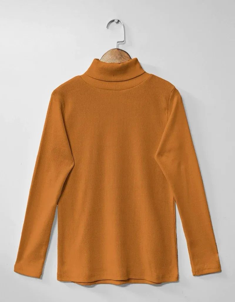 Plain Warm Fleece High neck CH-379